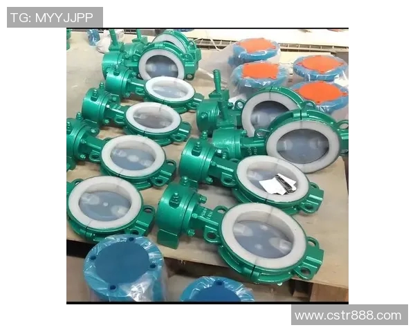 水管阀门的选型与维护技巧全面解析,提升管道系统效率与安全性 水管阀门的选型与维护技巧全面解析,提升管道系统效率与安全性